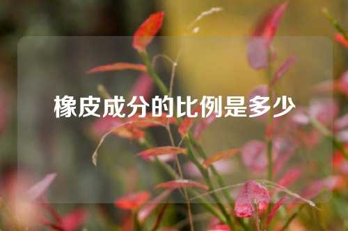 橡皮成分的比例是多少