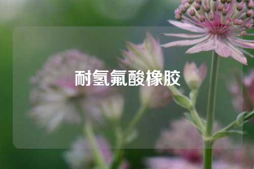 耐氢氟酸橡胶