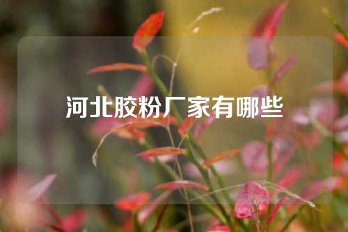 河北胶粉厂家有哪些