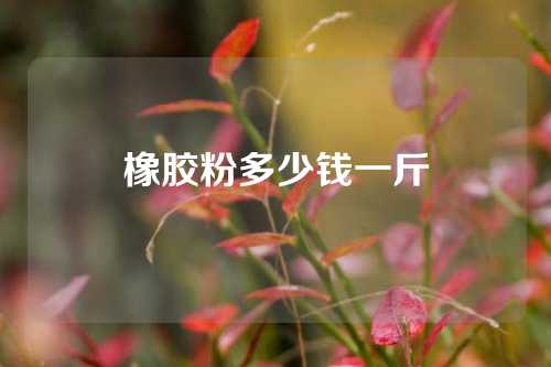 橡胶粉多少钱一斤