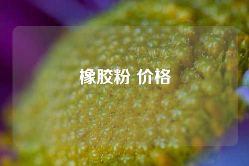 橡胶粉 价格