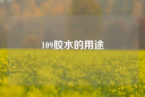 109胶水的用途