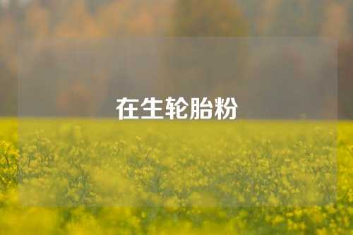 在生轮胎粉