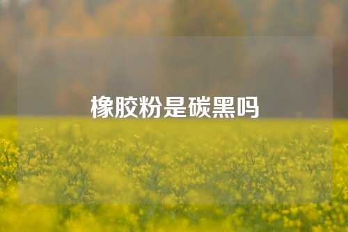橡胶粉是碳黑吗