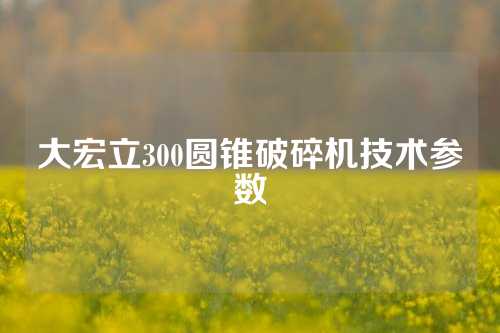 大宏立300圆锥破碎机技术参数