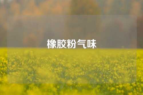 橡胶粉气味