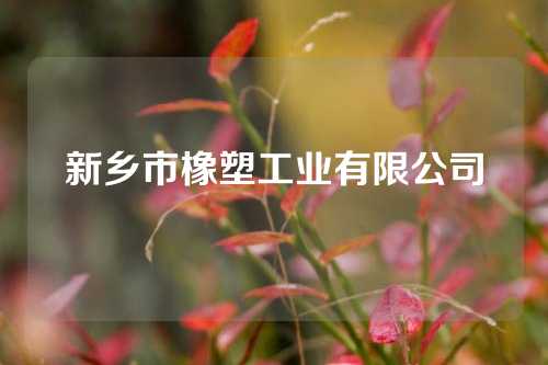 新乡市橡塑工业有限公司