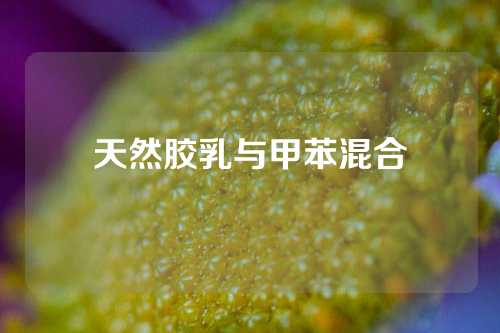 天然胶乳与甲苯混合