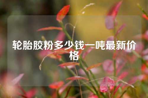 轮胎胶粉多少钱一吨最新价格