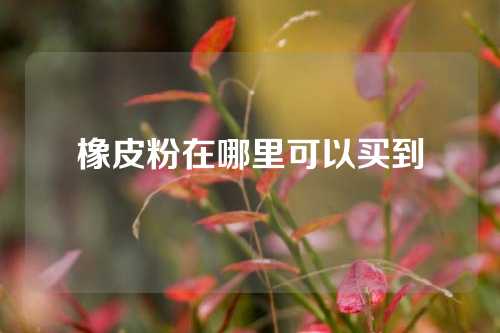 橡皮粉在哪里可以买到