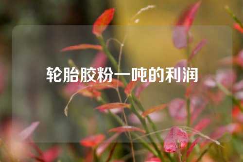 轮胎胶粉一吨的利润