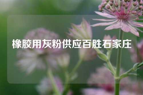橡胶用灰粉供应百胜石家庄