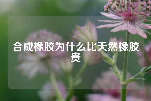 合成橡胶为什么比天然橡胶贵