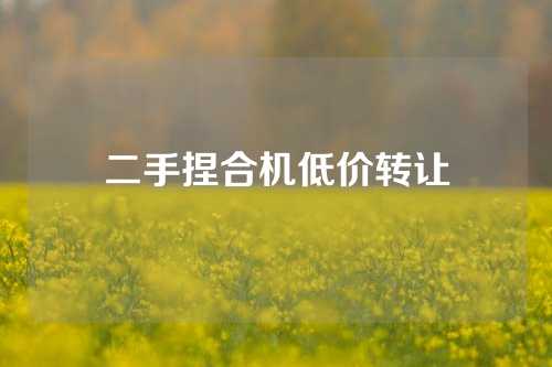 二手捏合机低价转让