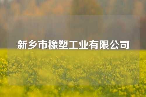 新乡市橡塑工业有限公司