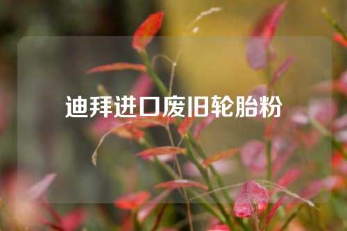 迪拜进口废旧轮胎粉