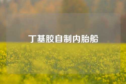 丁基胶自制内胎船