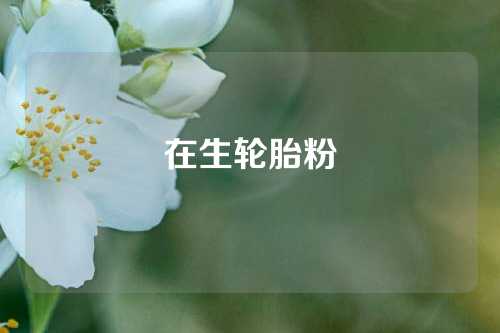 在生轮胎粉