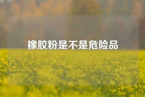 橡胶粉是不是危险品