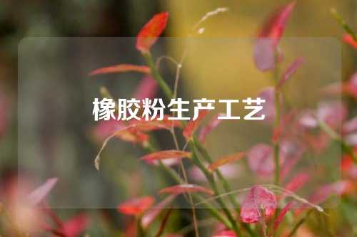 橡胶粉生产工艺