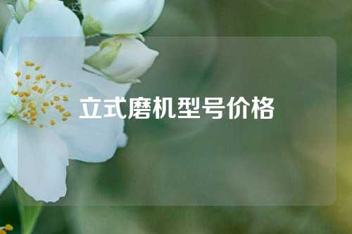 立式磨机型号价格