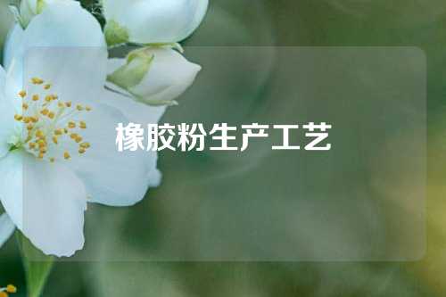 橡胶粉生产工艺