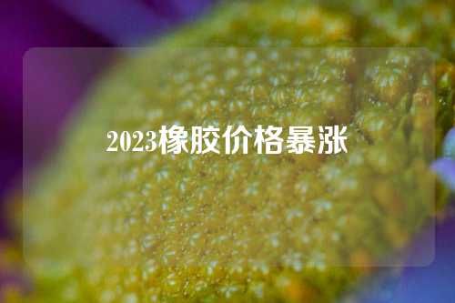 2023橡胶价格暴涨