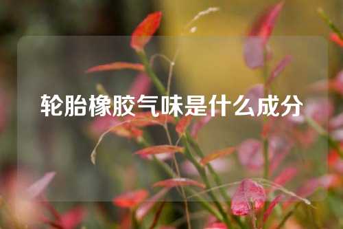 轮胎橡胶气味是什么成分