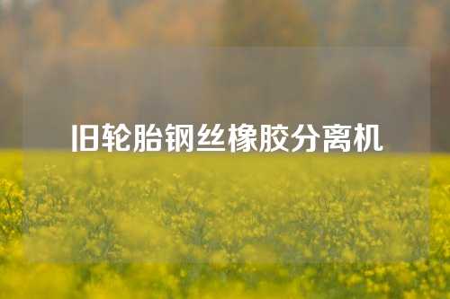 旧轮胎钢丝橡胶分离机