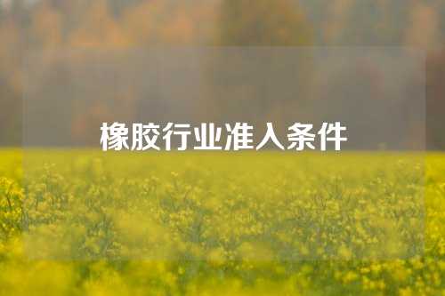 橡胶行业准入条件