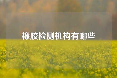 橡胶检测机构有哪些