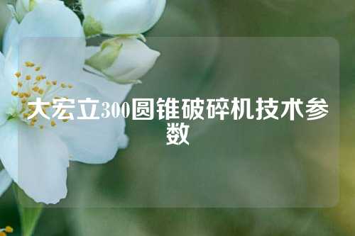 大宏立300圆锥破碎机技术参数