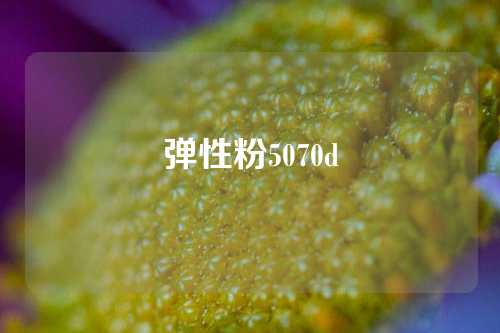 弹性粉5070d