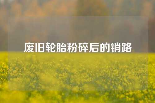 废旧轮胎粉碎后的销路