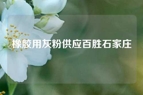 橡胶用灰粉供应百胜石家庄