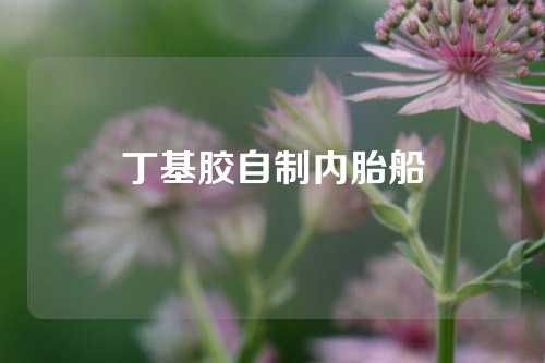 丁基胶自制内胎船