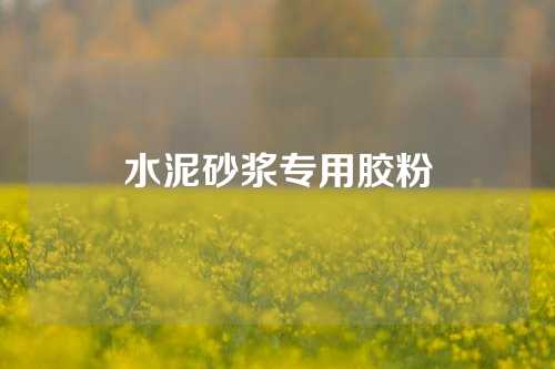 水泥砂浆专用胶粉