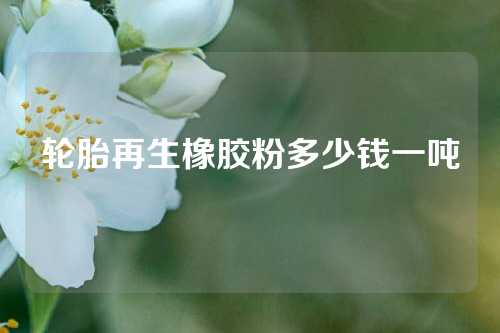 轮胎再生橡胶粉多少钱一吨
