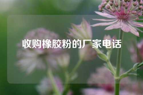 收购橡胶粉的厂家电话