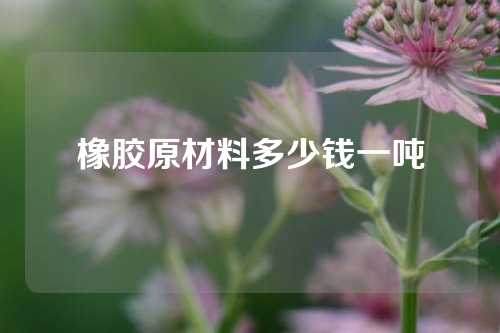 橡胶原材料多少钱一吨