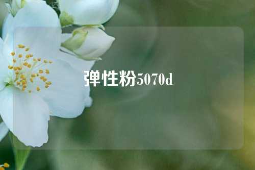 弹性粉5070d