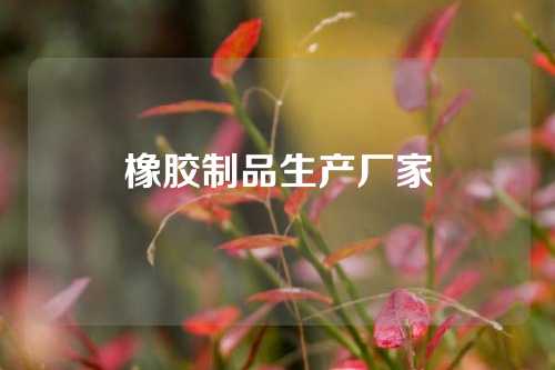 橡胶制品生产厂家
