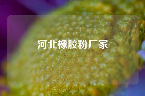 河北橡胶粉厂家