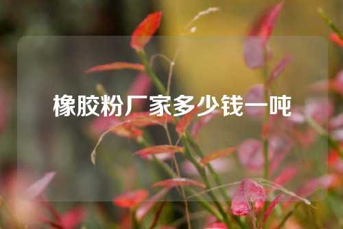 橡胶粉厂家多少钱一吨