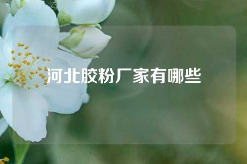 河北胶粉厂家有哪些
