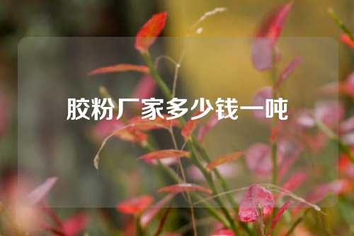 胶粉厂家多少钱一吨