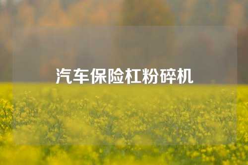 汽车保险杠粉碎机
