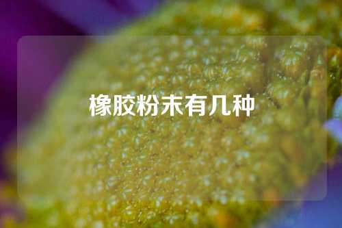 橡胶粉末有几种