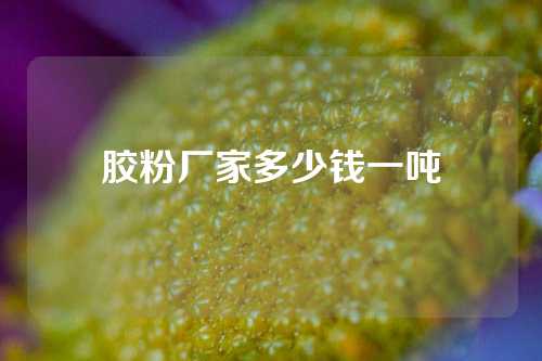 胶粉厂家多少钱一吨