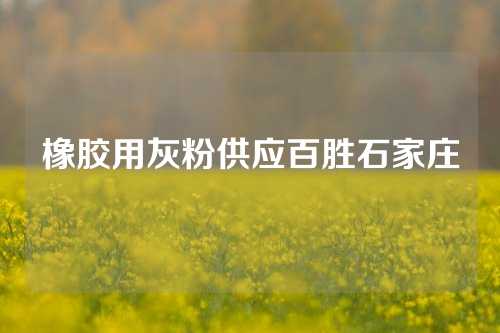 橡胶用灰粉供应百胜石家庄